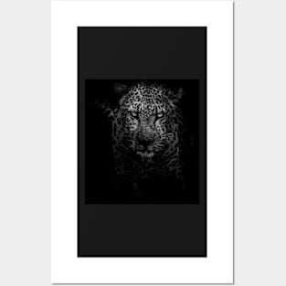 Stalking Leopard - Black and White Posters and Art